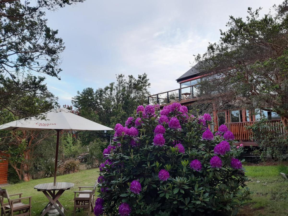 Hostel Torobayo Valdivia Eksteriør billede